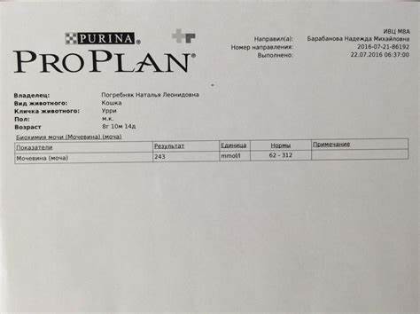 Диета при хпн коту Дюфалак Коту При Хпн – Telegraph Дюфалак Коту При Хпн – Telegraph Диета при хпн коту