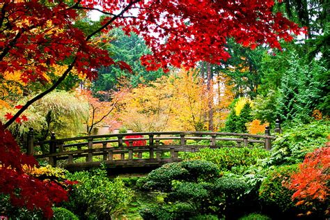 Autumn Leaves Trees Bridge Nature Yellow Green Red Wooden Hd