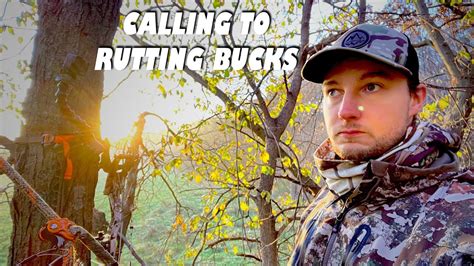 Bowhunting The Rut In Iowa Calling Rutting Bucks On Iowa Public Land