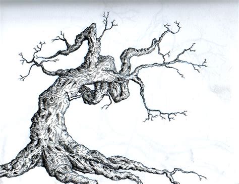 Dead Tree Drawing At Getdrawings Free Download