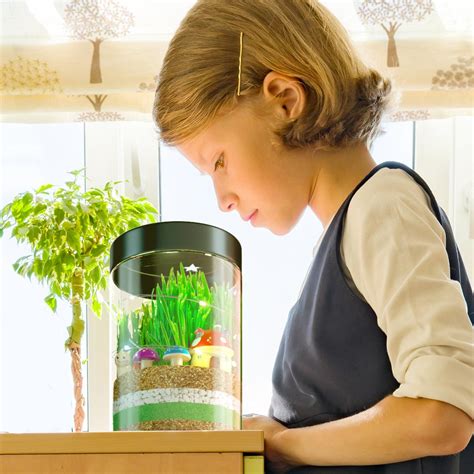 Terrarium Kit For Kids With Led Night Lightusa Seeds And Soil Figurin