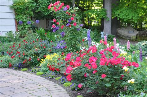 Check spelling or type a new query. Color in Daniela's garden in Ohio - FineGardening