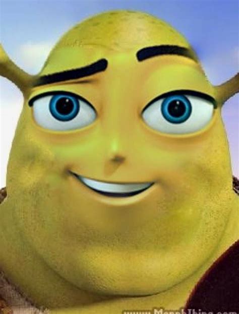 Pin By Caelan H On Bee Movie Stuff Shrek Memes Shrek Cursed Images