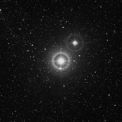 31 Cygni Star In Cygnus