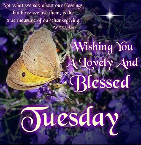 Wishing You A Lovely And Blessed Tuesday Pictures Photos And Images