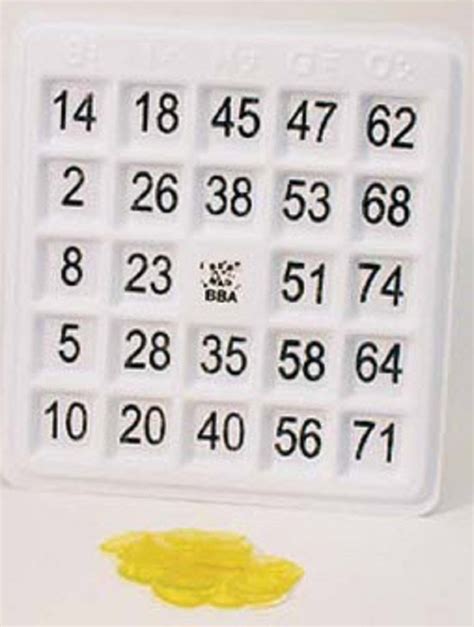 Large Print Braille Bingo Card For Visually Impaired