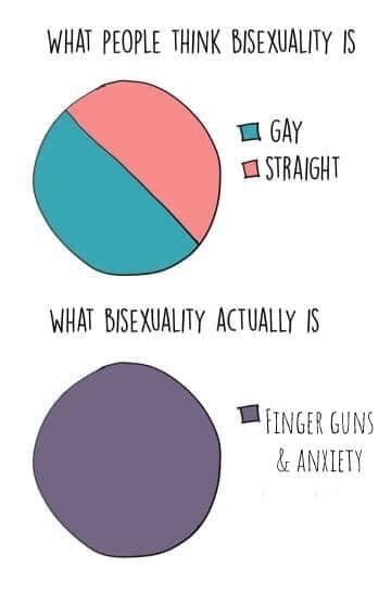pie sexuality chart bisexual