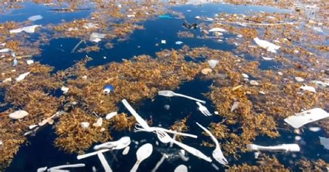 Ocean Plastics As Global Population Explodes So Will Plastic Waste In