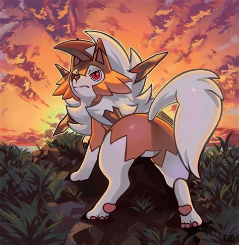 Lycanroc En 2020 Fotos De Pokemon Cosas De Pokemon Pokémon Sol