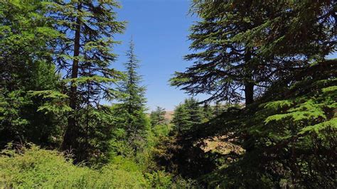 7 Nature Reserves To Visit In Lebanon Lebanon Traveler