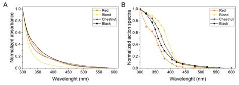Ijms Free Full Text Photoreactivity Of Hair Melanin From Different