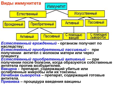 Выберите примеры создания искусственного пассивного иммунитета