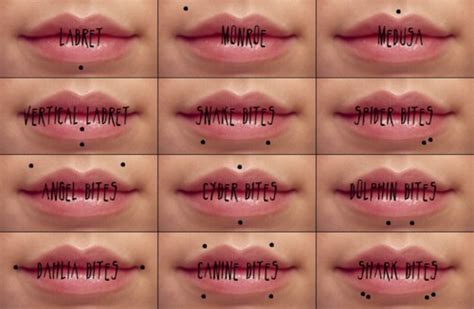Lip Piercing Types Explained Jewelry Inspiration Guide