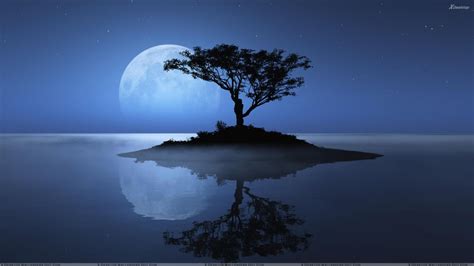Free Download Blue Moon Over The Water Evening Scene Wallpaper