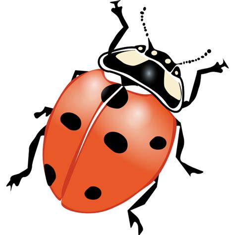 Ladybug Vector Graphics Free Svg