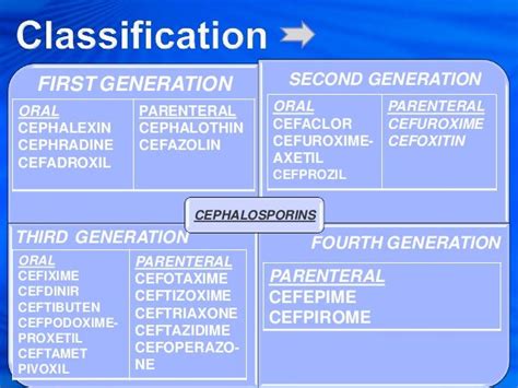 Cephalosporins Antibiotics Pharmacology Medical Knowledge