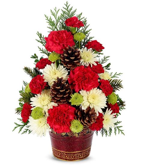 Since then, this pretty (but thorny!) plant has been introduced to many southern climates and is loved by many. Christmas Tree Celebration at From You Flowers