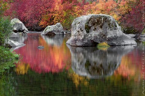 Natures Colors By Aaron Reed On 500px Nature Beautiful Nature