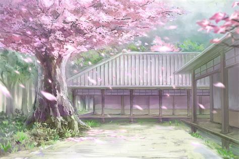 Background Anime Sakura Tree Wallpaper Sakura Tree Anime Wallpaper