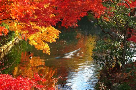 The 5 Best Places To See Autumn Leaves In Tokyo And Karuizawa Japan
