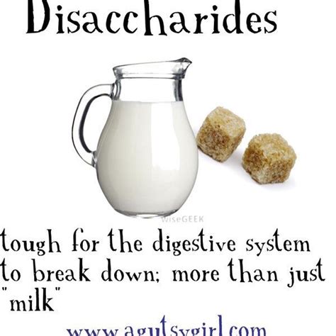 Today Its All About The Disaccharides Which Is One Most Of You Will