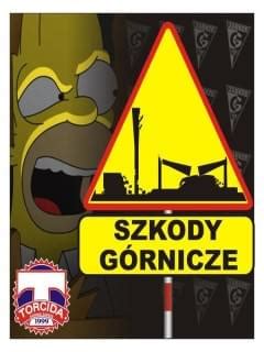 Górnik zabrze, grupa azoty tarnów, azoty puławy oraz funflor perła lublin i zagłębie lubin poznały rywali w lidze europejskiej. TAPETY - K.S GÓRNIK ZABRZE -240 x 320 - Strona 3 ...