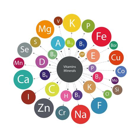 Essential Vitamins And Minerals Map Infographic Rezfoods Resep