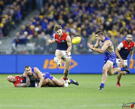 See more ideas about stadium, western australia, perth. West Coast v Melbourne, Round 9, 2019, Optus Stadium | AFANA