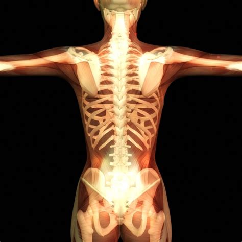 I highly recommend that muscle & bone ep and not just because i know the guys. 14 Ways To Build Strong Bones... And Keep Them That Way