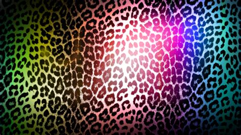 Colorful Leopard Print Wallpapers Hd High Definition