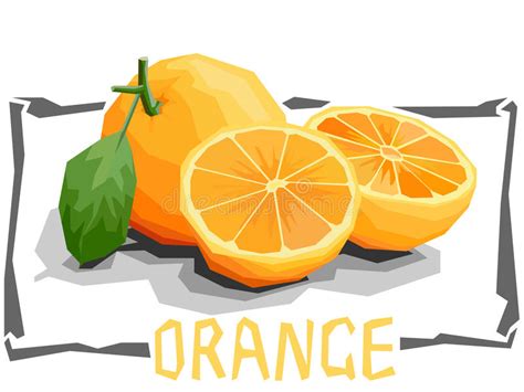 Illustration Simple De Vecteur Des Oranges De Fruit Illustration De