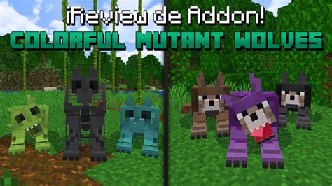 Addon De Nuevos Lobos Para Minecraft Pe 118 Colorful Mutant Wolves