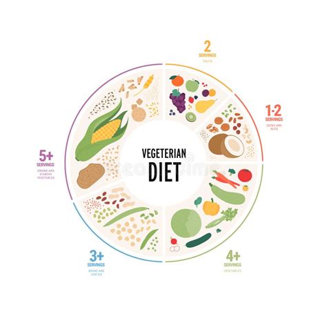 Food Guide Concept Vector Flat Modern Illustration Vegetarian Diet