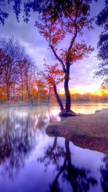 The Zedge Beautiful Nature Wallpaper For Mobile 360x640