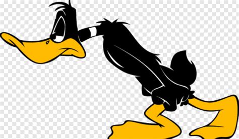 Daffy Duck Daffy Duck Sad Png Download 480x280 1569937 Png