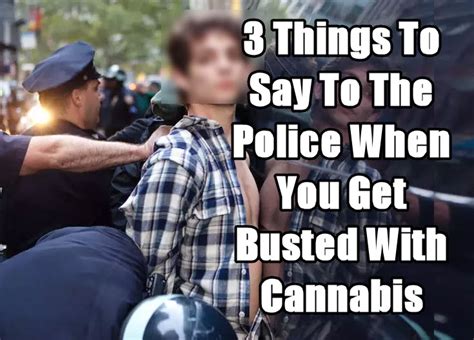 3 Things To Say To The Police When You Get Busted For Cannabis