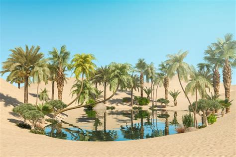 Oasis And Palm Trees In Desert Stock Image Image Of Rendering Oasis