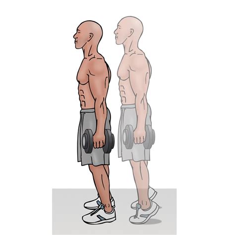 How To Perform Standing Dumbbell Calf Raise Focused On Fit