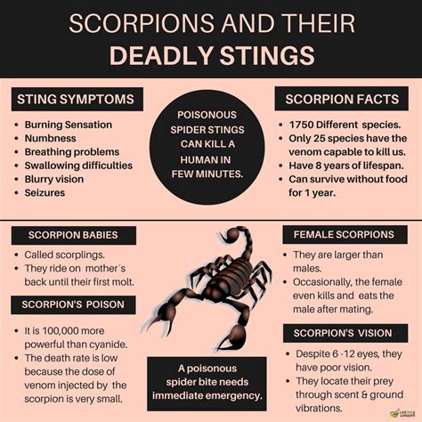 Stinging Facts About Scorpions Mental Floss Hot Sex Picture