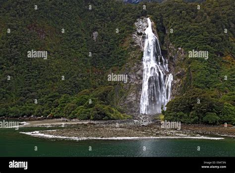 Rainforest Waterfall In Milford Sound Stock Photo Alamy