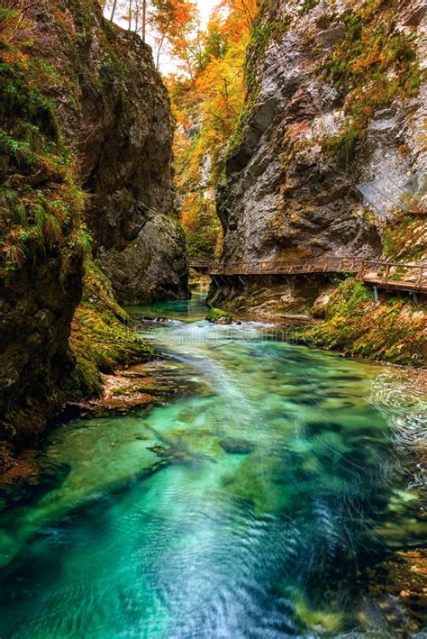 Vintgar Gorge Soteska Vintgar Or Bled Gorge Blejski Vintgar In Slovenia