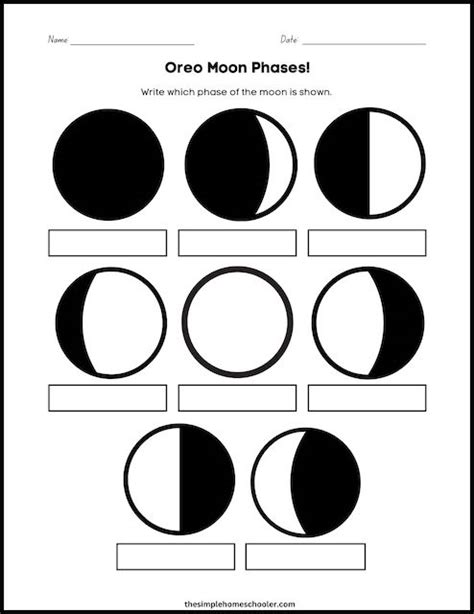 Tasty Oreo Phases Of The Moon Worksheet With Answer Key Free And Easy
