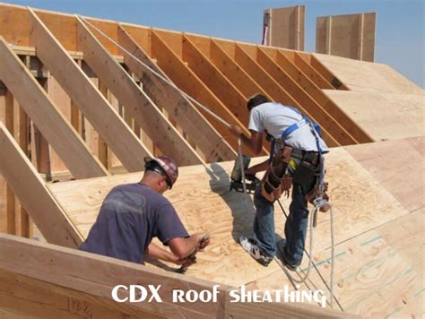 Cdx Or Osb For Roof Sheathing Integrity Roofing Construction