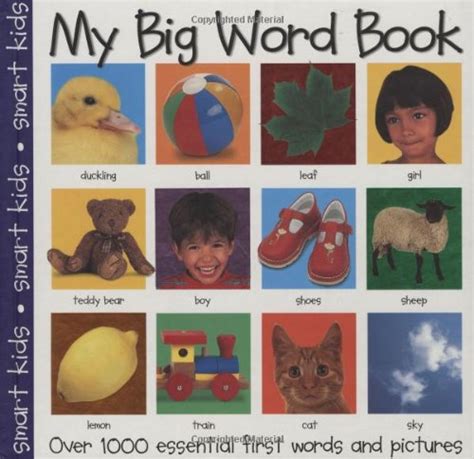 My Big Word Book Priddy Roger 9780312490751 Books Amazonca