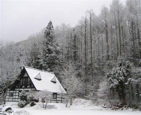 Winter In Nagano Forest Japan House Japanese Snow Nature Nagano