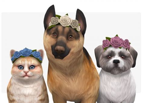 Nolan Sims Crown Of Flowers For Pets Sims 4 Downloads