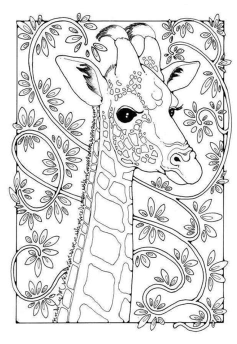 Pin By Tamera Kavouras On Малюнки In 2020 Giraffe Coloring Pages