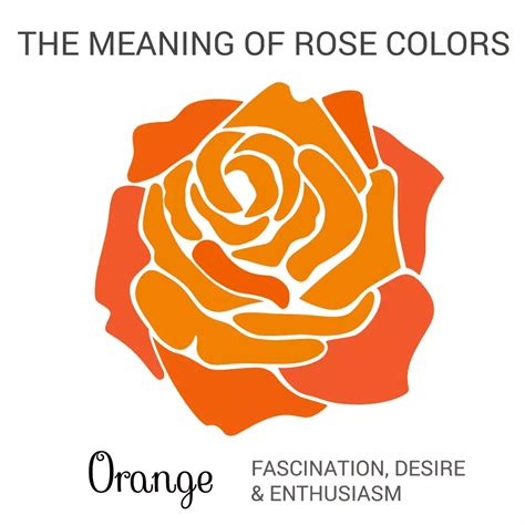 Pin By Rouf Asan On Quotessayings Rose Color Meanings