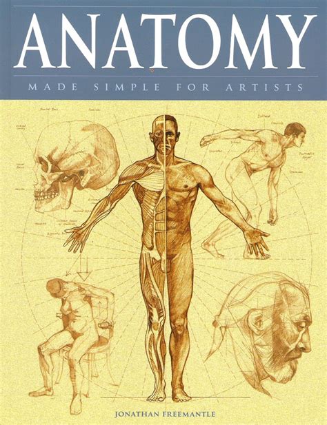 Picture Of Anatomy Made Simple For Artists