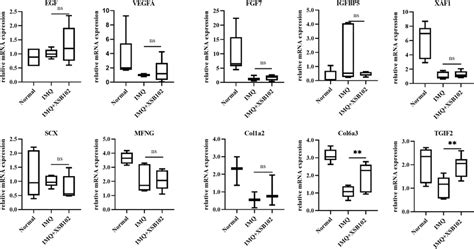 Staphylococcus Warneri Xsb102 Increases The Relative Mrna Expression